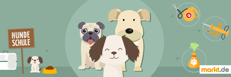 Hier gibt es Tipps und Tricks rund um den Hund. Bild Hunde Übersicht