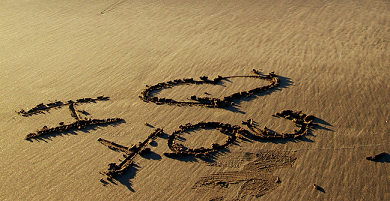 Bild Liebeserklärung im Sand