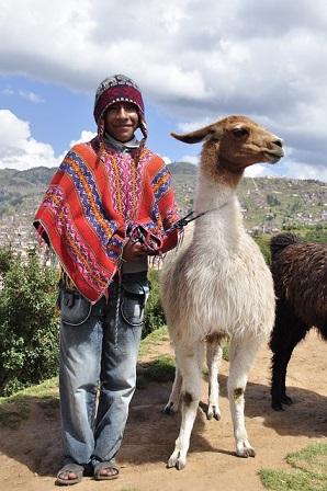 lama