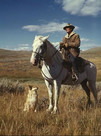 Reiter Pferd