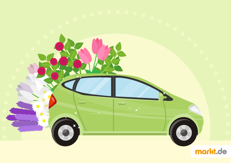 Autopflege: Auto fit für den Frühling machen