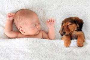 Baby und Hund im Bett