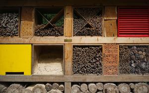 Richte das Insektenhotel am besten nach Süden aus. Insektenhotel bauen Material