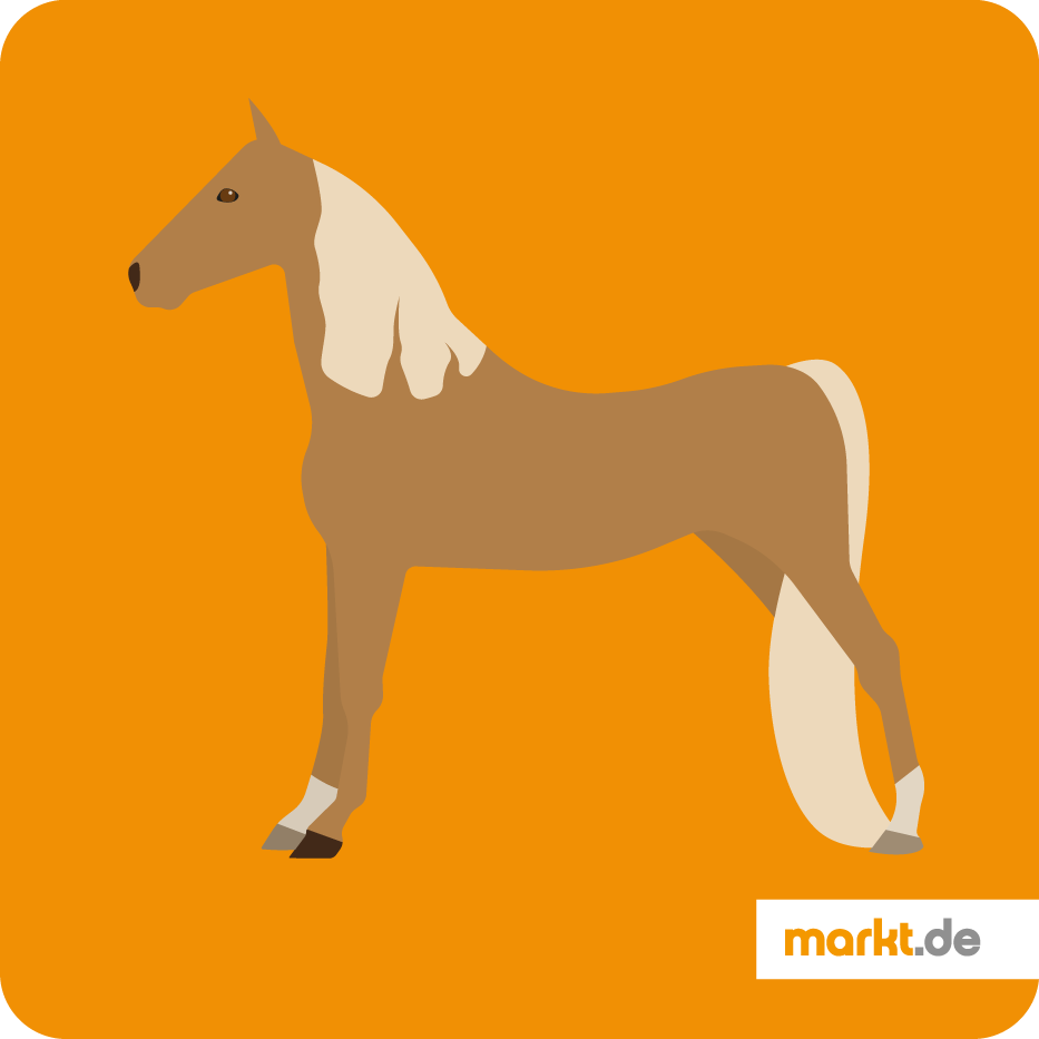 Grafik American Saddlebred Horse