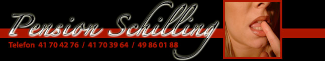 Pension Schilling Pension Schilling
