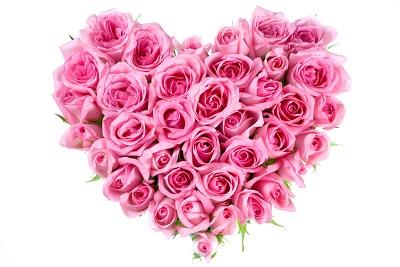 Blumen Und Ihre Bedeutung Fur Die Liebe Markt De