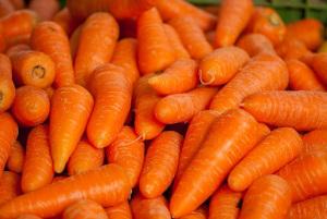 Karotten Futter