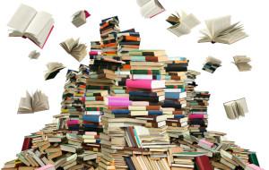 Durch das Internet lassen sich auch seltene Bücher schnell finden. Antiquarische Bücher
