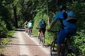 Radfahrergruppe im Wald