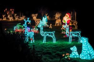 Achten Sie immer darauf, dass die Lampen sicher sind. Bild Gartenbeleuchtung Weihnachten