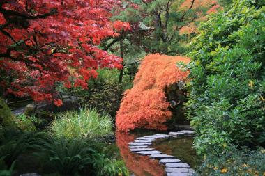 Bild Japanischer Garten mit Steinweg durch Teich