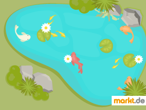 Ein Teich im Garten ist ein richtiger Hingucker. Grafik Gartenteich mit Fischen