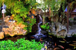 Bild Wasserfall an Gartenteich