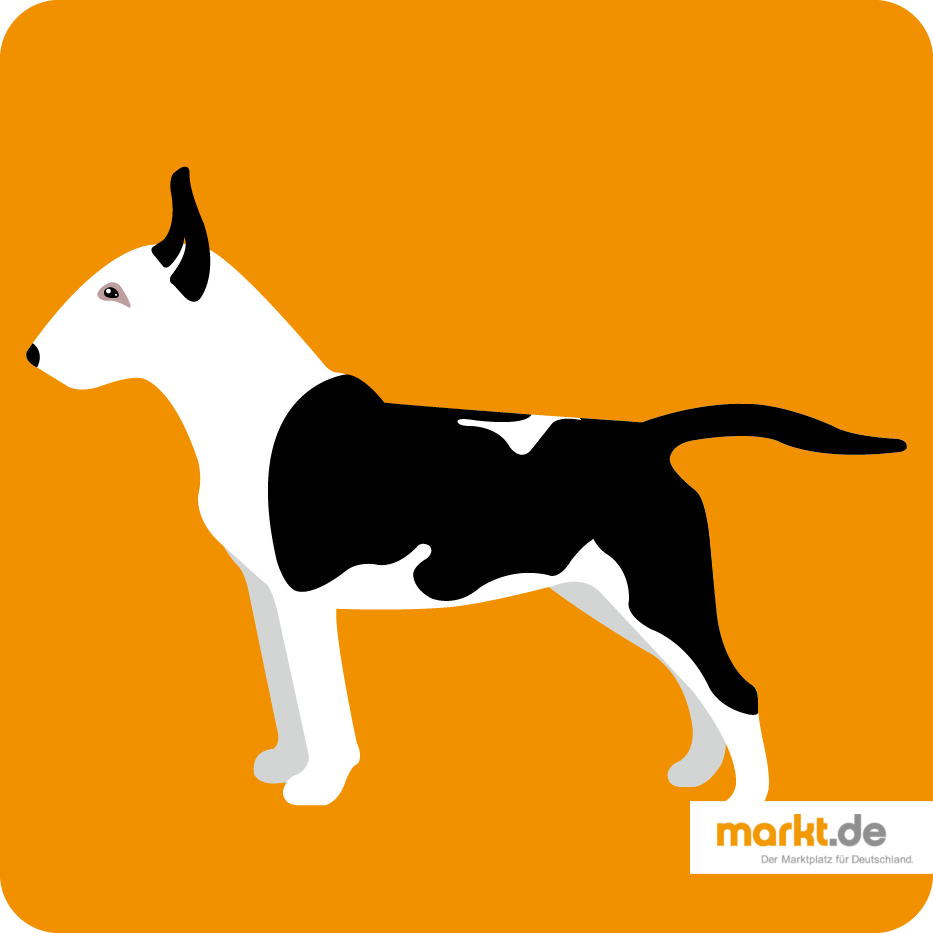 Bullterrier (Miniatur)