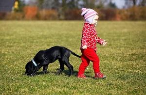 Welche Hunde Sind Sehr Kinderlieb Und Fur Kleinkinder Geeignet Markt De