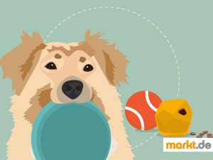 Die meisten Hunderassen brauchen sehr viel Bewegung. Bild Spielen und Sport mit Hund