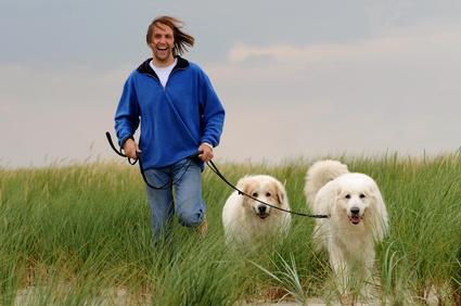 Mann mit Hunden