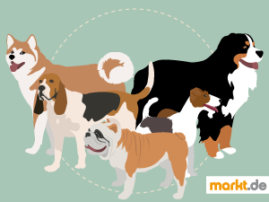 Wer einen Hund adoptiert, sollte sich vorher über die Rasse informieren. Bild Hunderassen