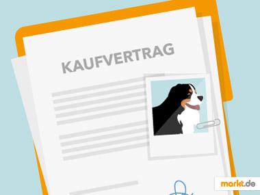 In einem Kaufvertrag kann ein Rückkaufpreis festgelegt werden. Grafik Kaufvertrag Hunde
