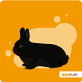 Kaninchen standard - Der Favorit unserer Produkttester