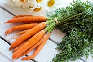 Karotten als Kaninchenfutter