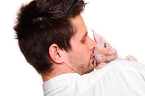 Don Sphynx sind sehr verschmust und anhänglich. Bild Mann mit Don Sphynx Katze auf dem Arm