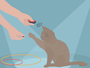 Clickertraining macht manchen Katzen viel Spaß Grafik Katze Clickertraining