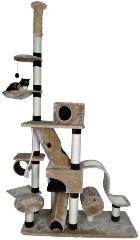 katzen