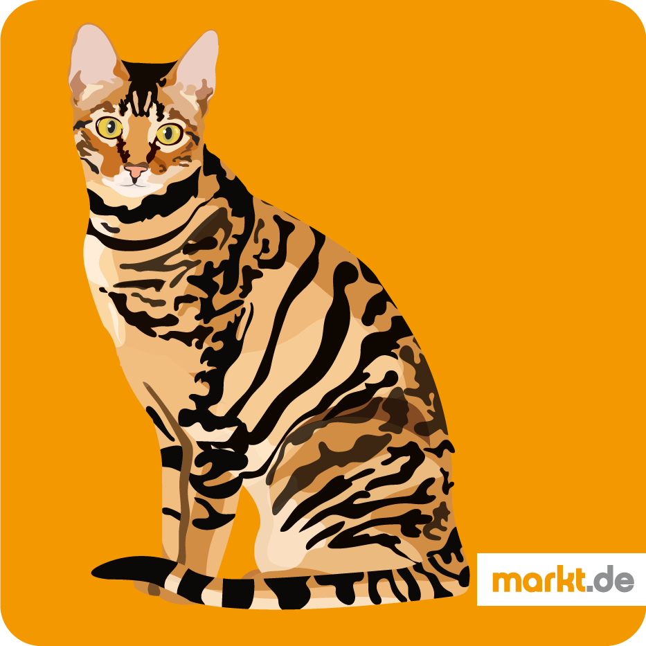 Grafik Toyger