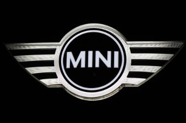 Bild Mini Logo