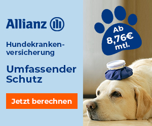 Umfassender Schutz - die Allianz Hundekrankenversicherung