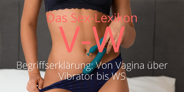 Sexlexikon: Von Vagina über Vibrator bis WS