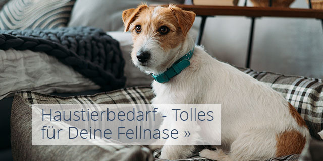 Haustierbedarf - Tolles für Deine Fellnase