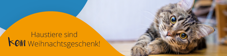 Haustiere sind kein Weihnachtsgeschenk