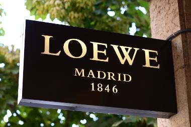 Bild Loewe Logo