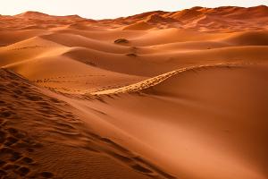 Bild Wüste