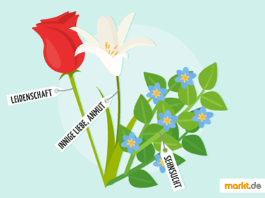 Grafik Blumen und ihre Bedeutung