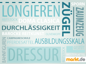 verschiedene Begriffe rund ums Pferd Bild verschiedene Begriffe zum Thema Pferd