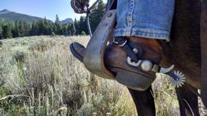 Bild Cowboy Stiefel mit Sporen