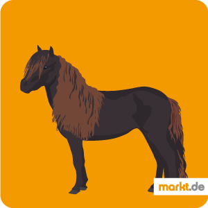 Falabella Pony Pferd Pferderasse Charakter Wesen Deko Blechschild Poster A0482 