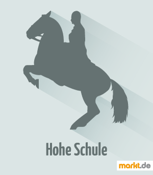 Die Hohe Schule ist sehr trainingsintensiv und erfordert eine genetische Veranlagerung Bild Pferd mit Reiter in der Hohen Schule