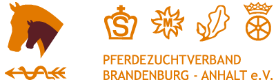 Pferdezuchtverband Brandenburg - Anhalt e.V.