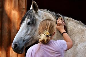 Pflege beim Pferd