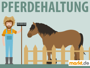 Pferdehaltung Bild Farmer neben Pferd hinter einem Zauen