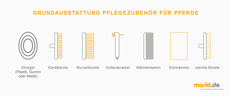 Pferd Pflege Ausrüstung Pferd trabt