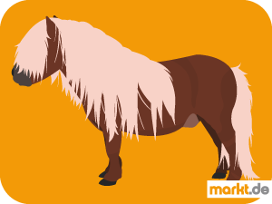 braunes Shetland Pony Bild braunes Pony