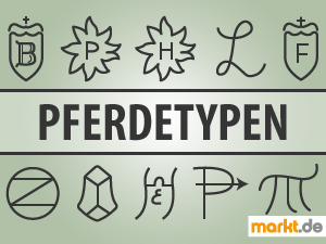 verschiedene Pferdetypen Bild verschiedene Brandzeichen der Pferdetypen