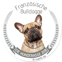 Französische Bulldogge ist Hunderasse des Jahres 2015