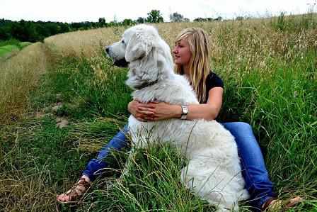 Kann ein Hund gegen Depressionen helfen? | markt.de