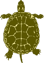Auch Schildkröten sind für Kinder eher ungeeignet. Auch Schildkröten sind für Kinder eher ungeeignet.